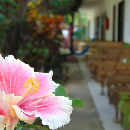 Crucero Tulum Bed and Breakfast Buitenkant foto