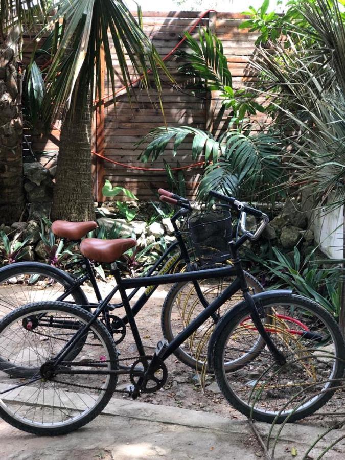 Crucero Tulum Bed and Breakfast Buitenkant foto