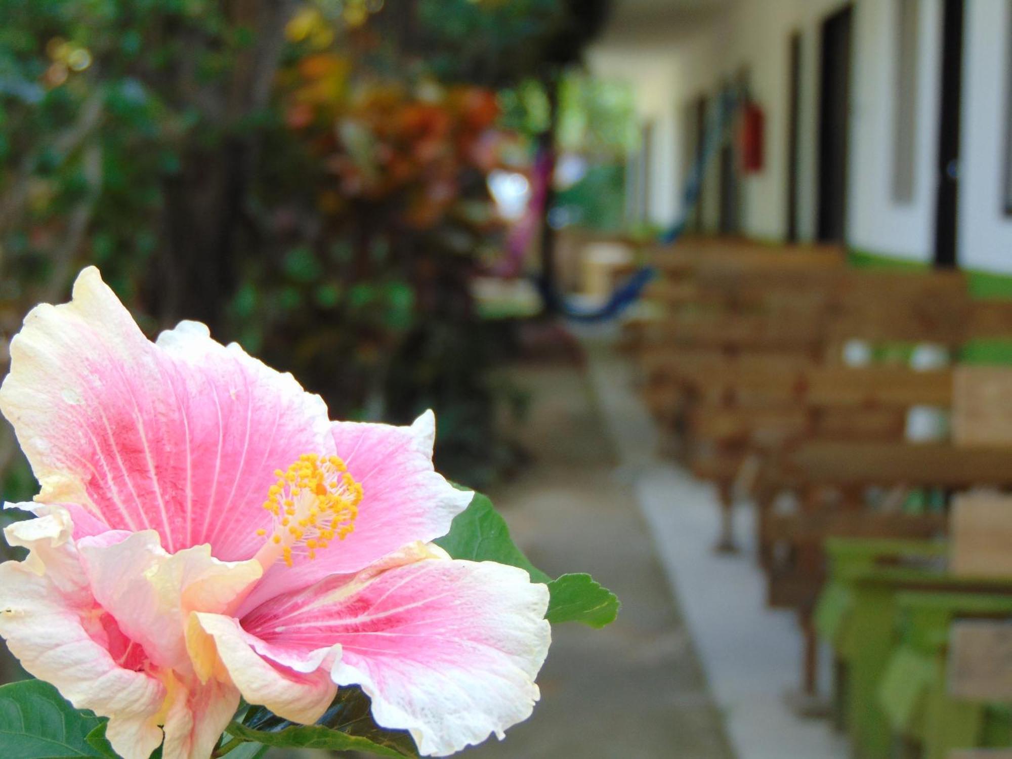 Crucero Tulum Bed and Breakfast Buitenkant foto